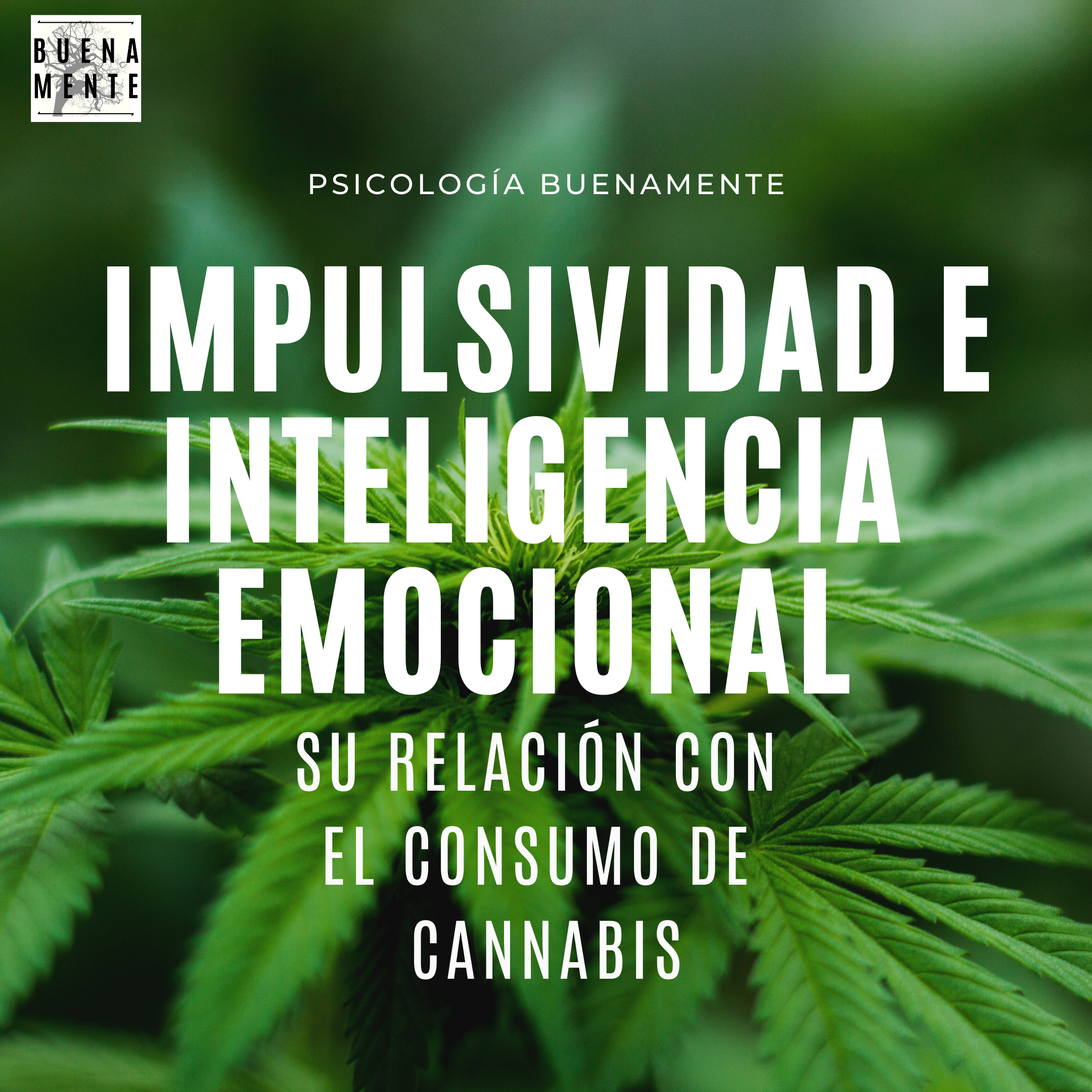 La inteligencia emocional percibida y la impulsividad, su influencia en el consumo de cannabis
