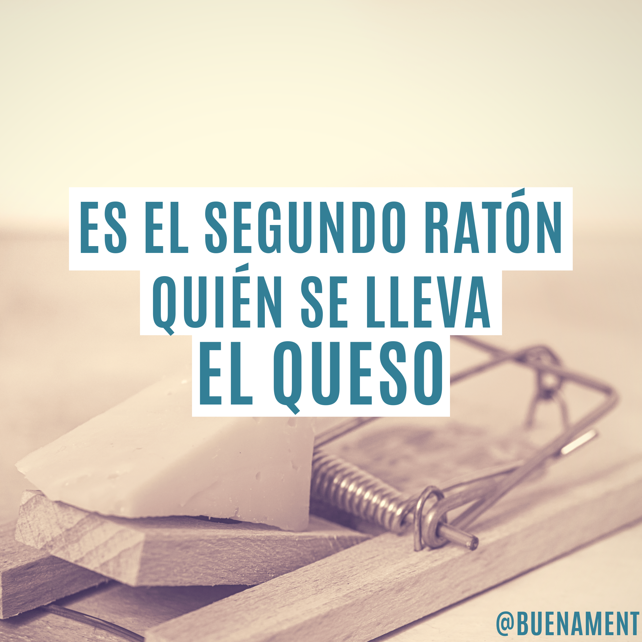 ¿Qué ratón eres?
